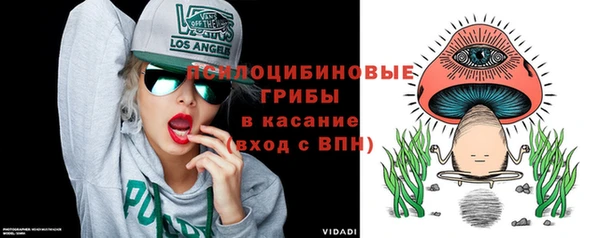 МДПВ Горно-Алтайск