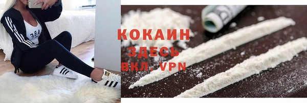 МДПВ Горно-Алтайск